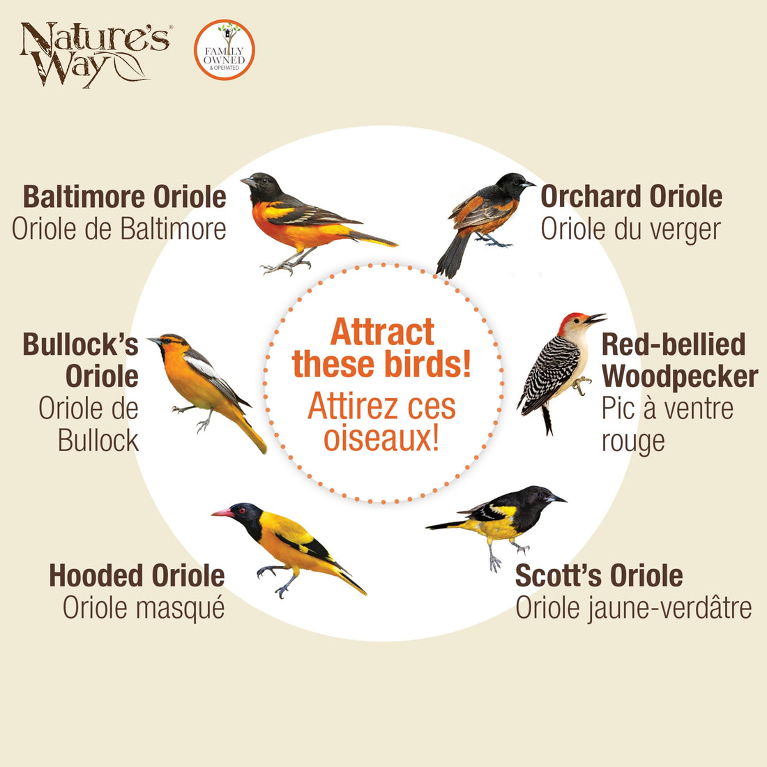 Nature's Way OFM1 Wire Oriole Feeder