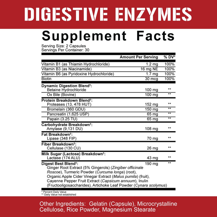 5% Nutrition Rich Piana Digestive Enzymes w/Vitamin B Complex | Enzymes for Protein, Carb, Fat, Fiber & Lactose Breakdown | Betaine, Bromelain, Papain (Papaya), Lipase, Lactase, 60 Veg Caps (30 Svgs)