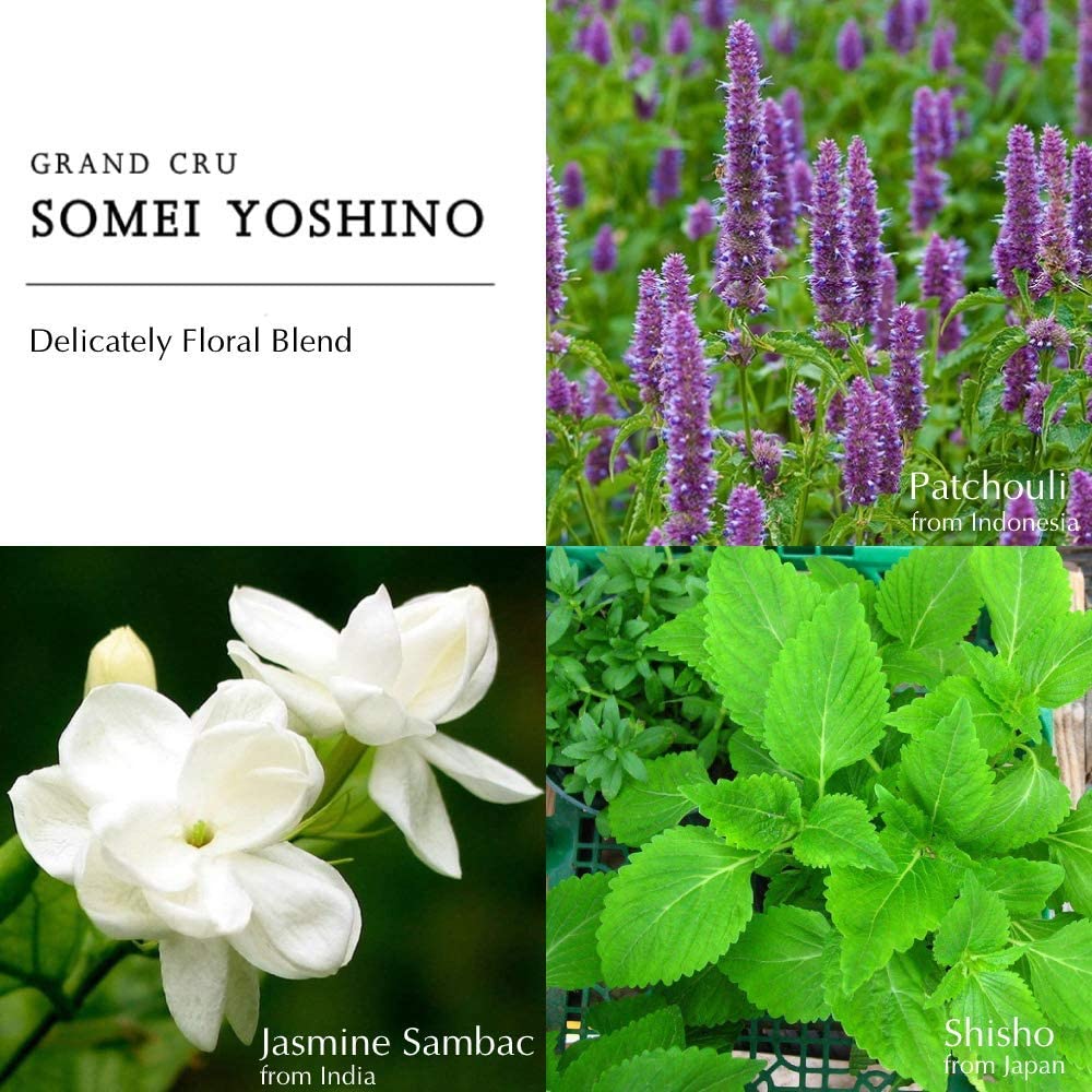 Berdoues Eau de Parfum Spray - Somei Yoshino, For Women 3.4 Fl Oz