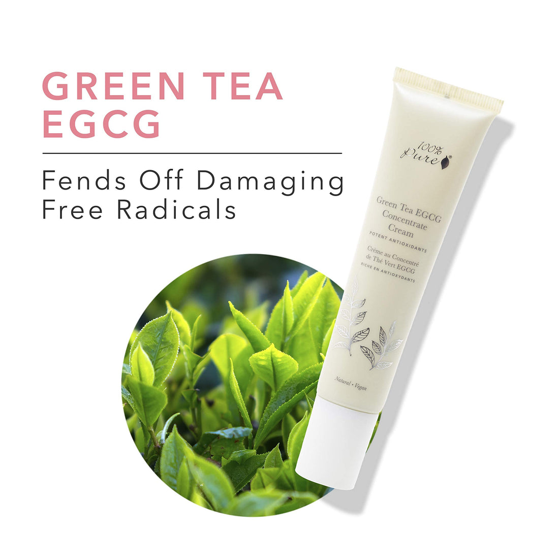 100% PURE Green Tea EGCG Concentrate Cream, Anti-Aging Face Moisturizer, Lightweight, Daily Face Cream (1.4 Fl Oz)