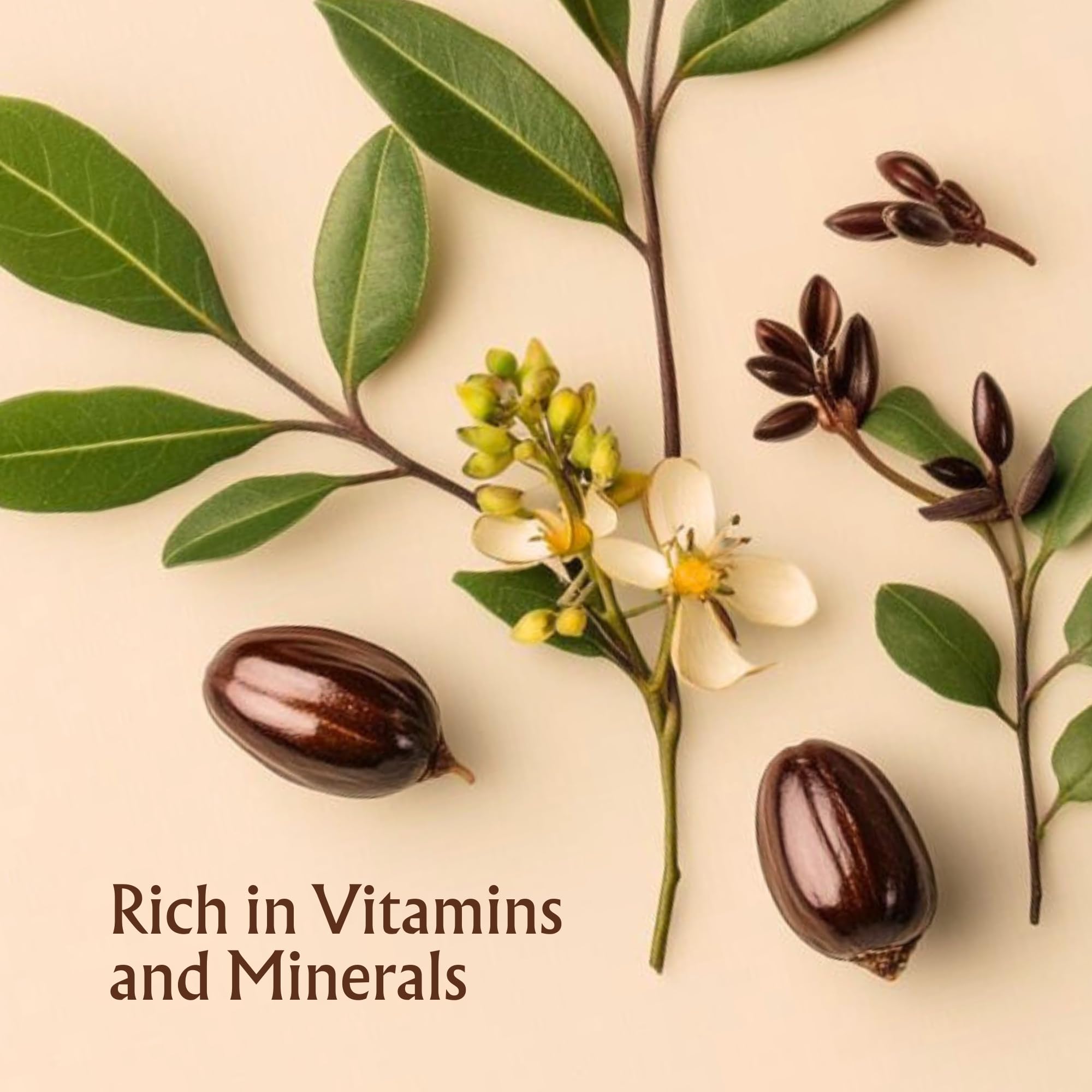 BodyJ4You Organic Jojoba Oil - USDA Organic 100% Pure Natural - Hair Face Skin Gua Sha Dermaplaning Massage - Cold Pressed Hexane Free - Base Carrier Oil - 1 Fl Oz