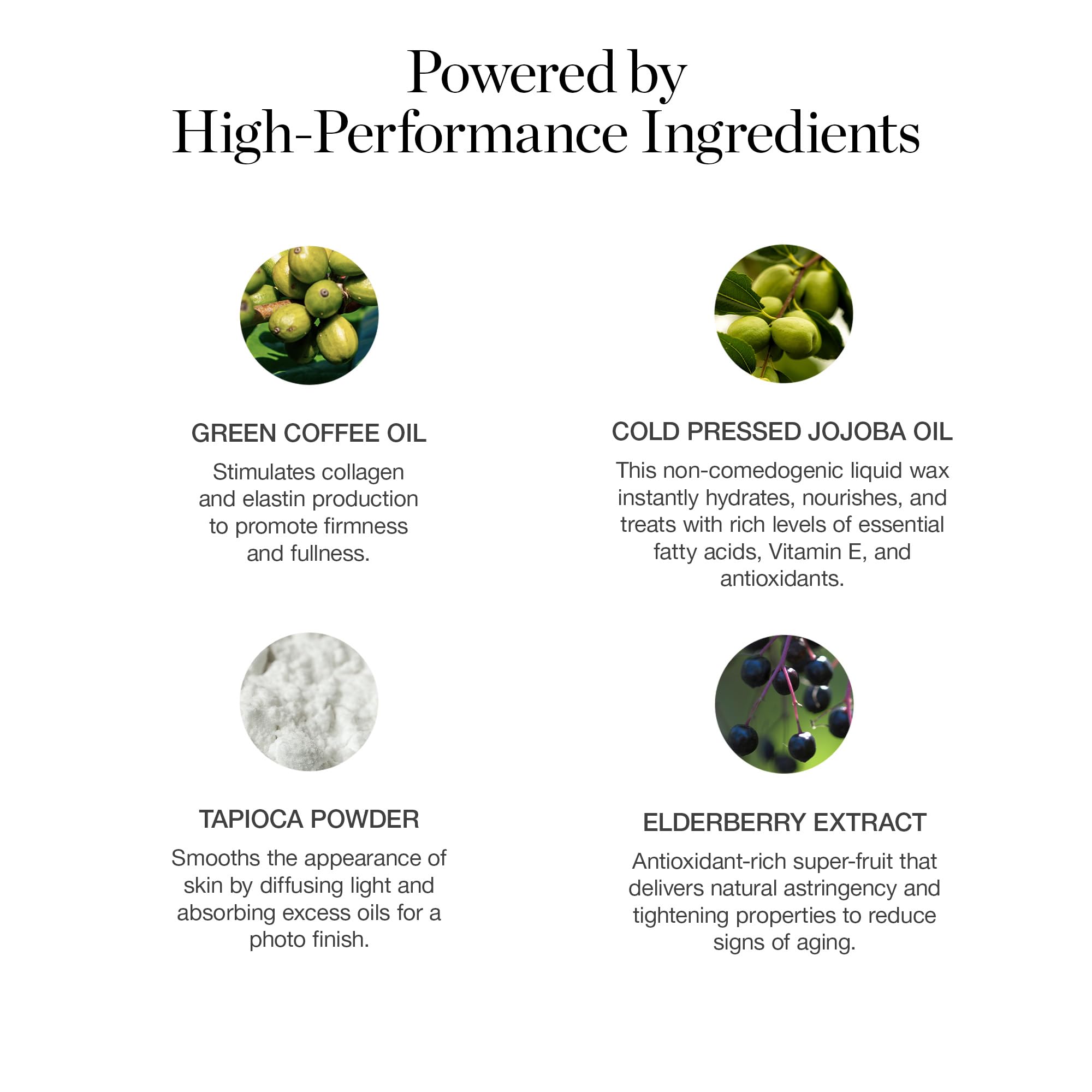 Ogee Sculpted Face Stick (AMBER - SUN KISSED BRONZE) Certified Organic Bronzer Stick & Highlighter Makeup - Multi-Use Bronzer Stick for Face