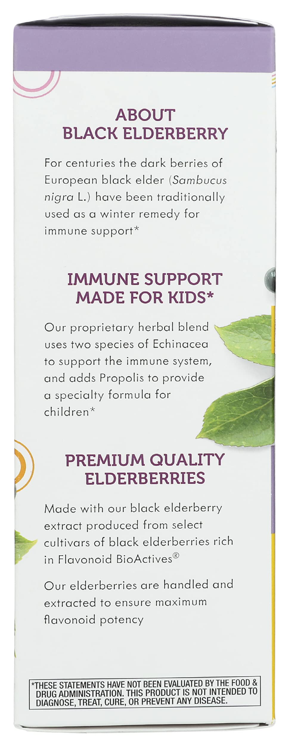 Natures Way Sambucus Standardized Elderberry Syrup for Kids, Cruelty Free, Environmentally Friendly, 8 Fluid Ounce (Pack of 1)