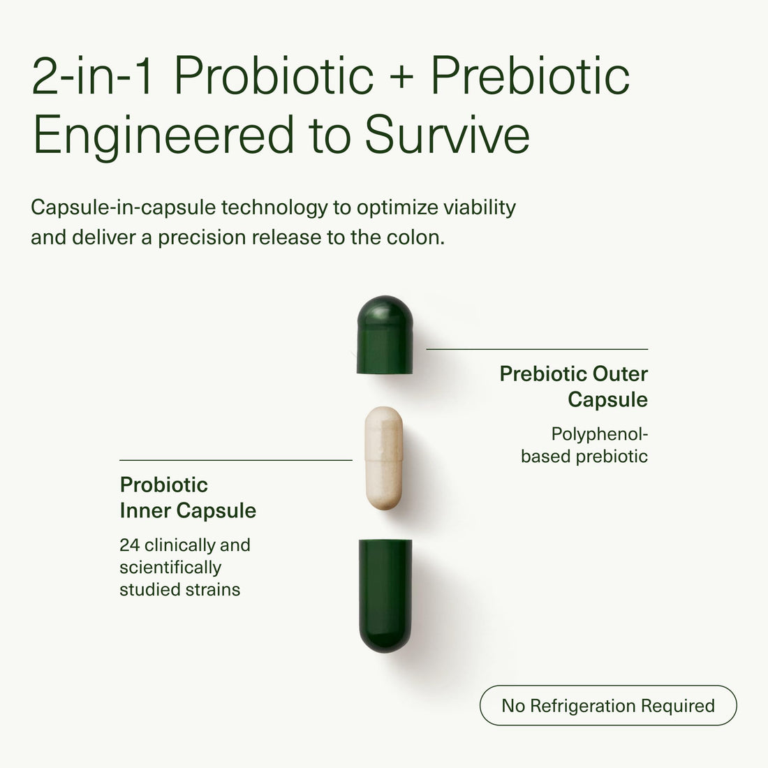 Seed 14 Day Gut Reset - Prebiotic and Probiotic for Women & Men - Digestive Health, Gut Health, Rapid Gut Recovery, Bloating & Constipation Relief - Vegan & Shelf-Stable - 28 Capsules (14-Day Supply)