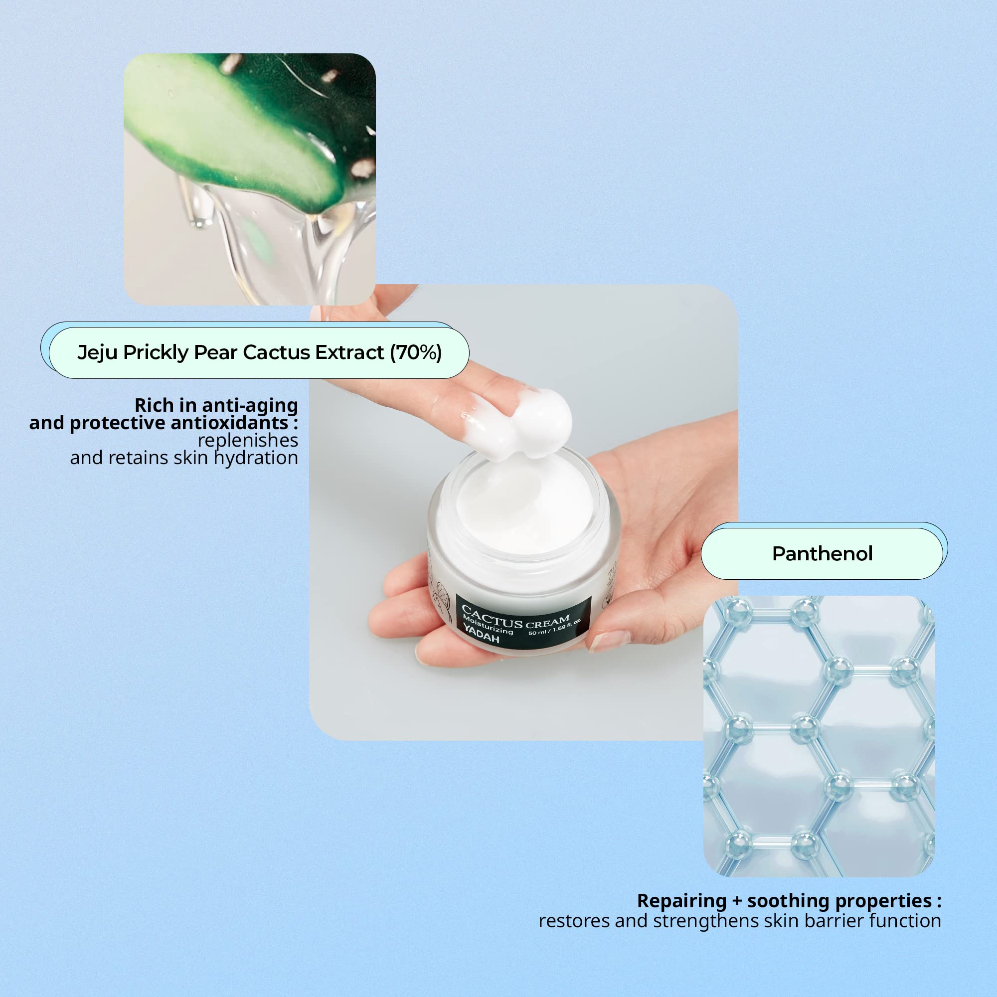 YADAH Cactus Cream 1.69 Fl.Oz. ââ‚¬â€œ Facial Hydrating Moisturizer Forming Moisture Barrier for Sensitive Dry Skin