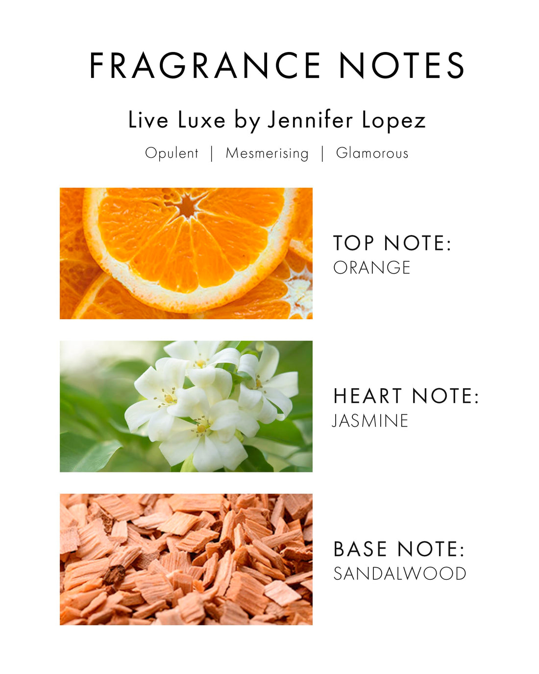Live Luxe by Jennifer Lopez for Women
