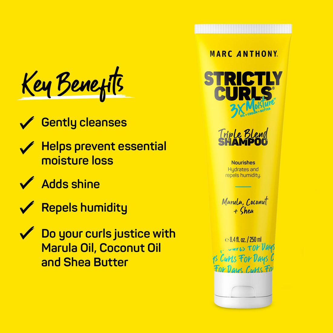 Marc Anthony Curly Hair Shampoo, Strictly Curls - 3x Moisture For Curl Defining & Curl Enhancing - Shea Butter, Marula Oil, Aloe Vera & Coconut Cream - Sulfate Free & Color Safe For Dry Damaged Hair