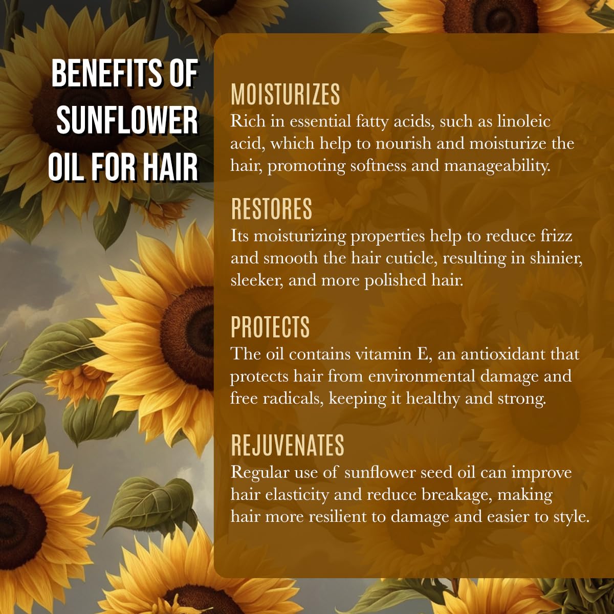 Renewalize Sunflower Seed Face Moisturizing Oil 4 oz size High Linoleic | Best for Acne Prone Oily Skin and Face