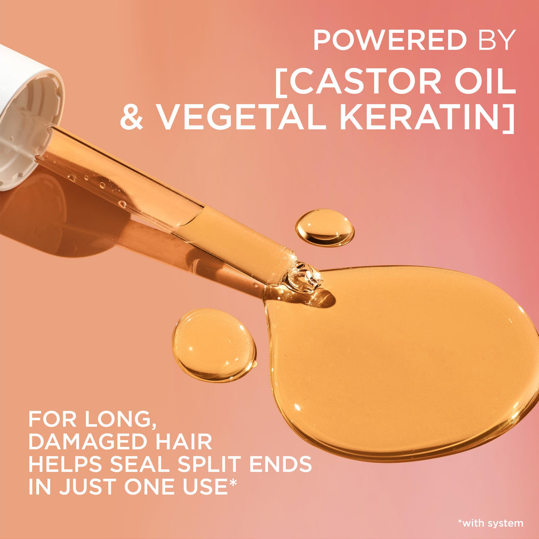 L'Oreal Paris Elvive Dream Lengths Restoring Shampoo with Fine Castor Oil and Vitamins B3 and B5 for Long, Damaged Hair, Visibly Repairs Damage Without Weighdown With System, 12.6 Fl; Oz