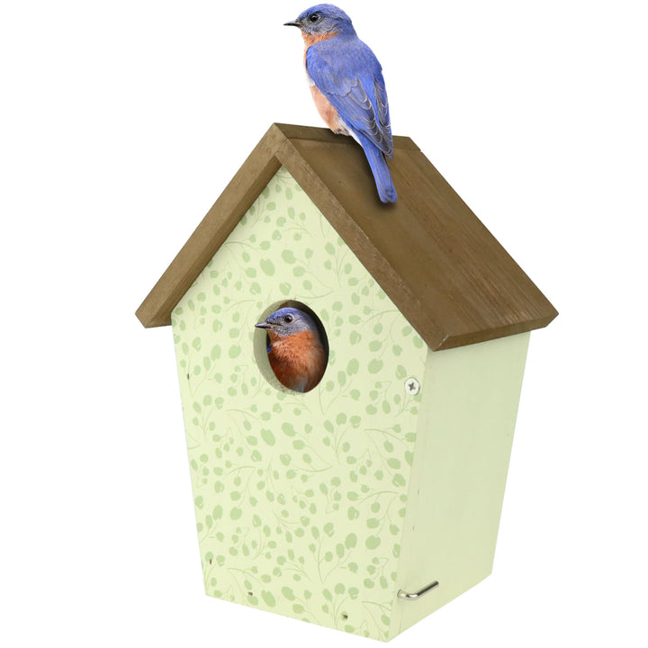 Wild Wings Decorative Bluebird House Spring Ivy, White