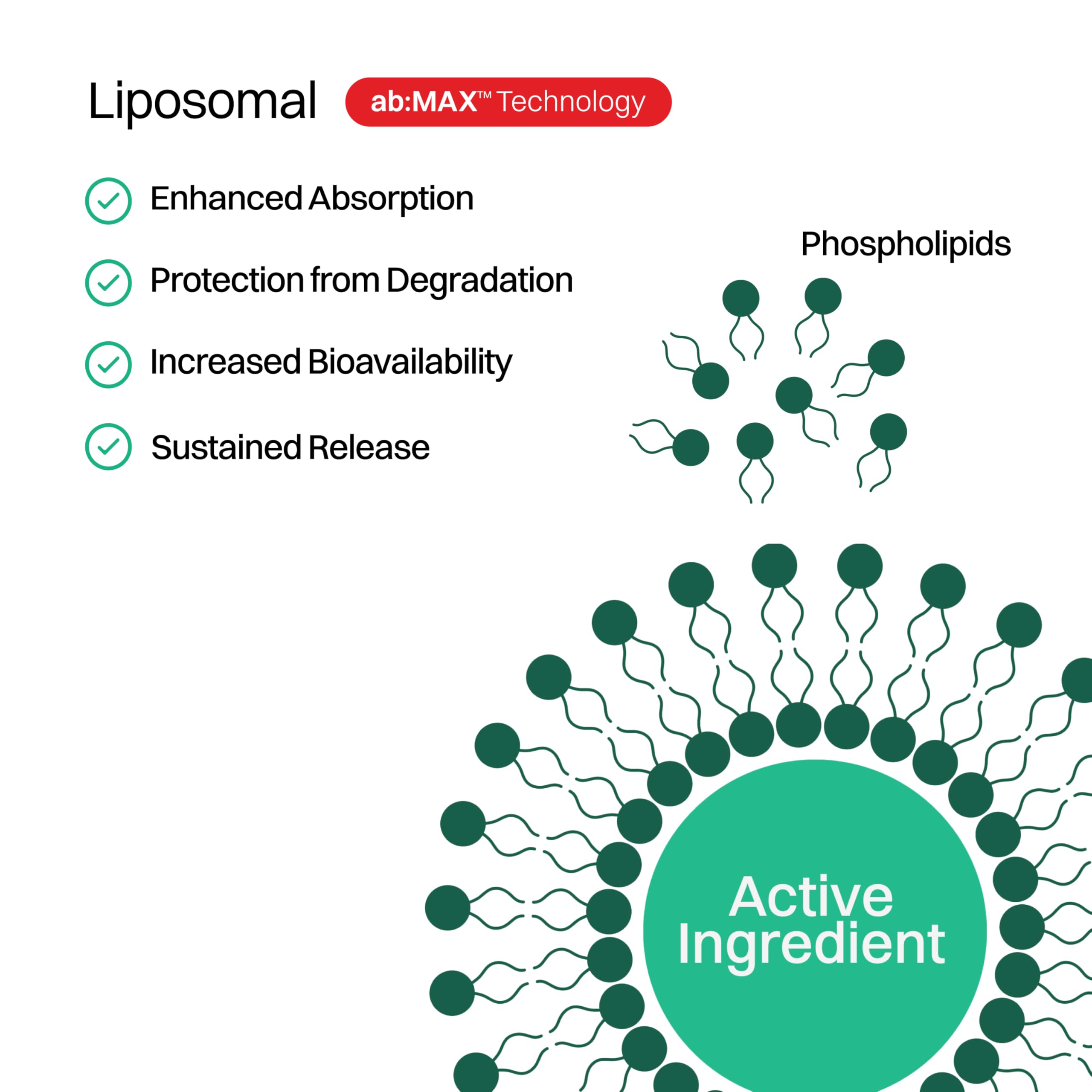 Haroutine Liposomal Vitamin C Sugar-Free Gummies - 500mg, 60 Gummies, 30 Servings, Immunity Booster, Collagen Support, Antioxidant, Eco-Friendly Jar- Strawberry Guava Flavor