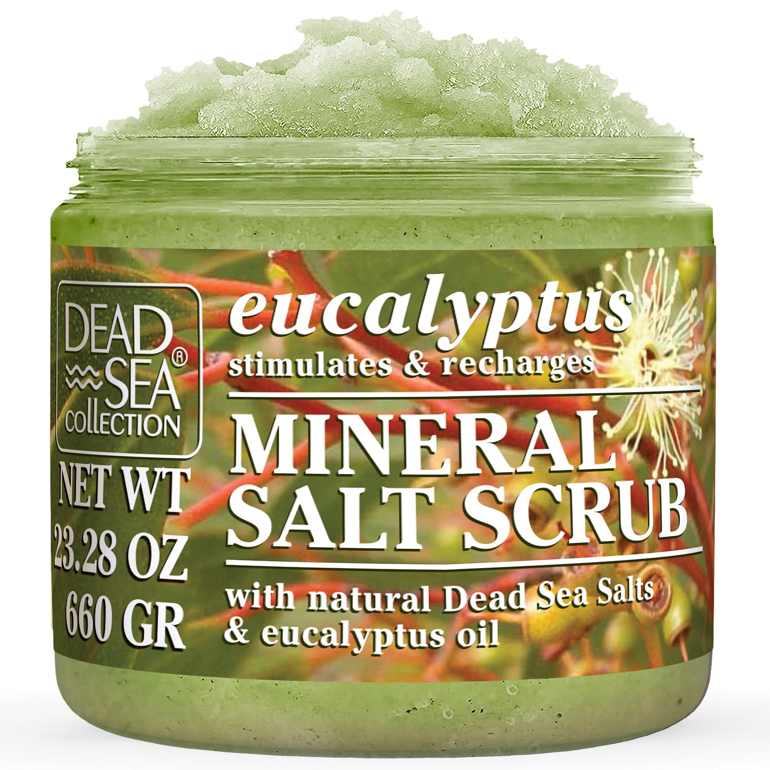 Dead Sea Collection Eucalyptus Salt Scrub – Exfoliating Body Scrub for Women – Moisturizing and Nourishing Skin – with Pure Oils and Dead Sea Minerals (23.28 Oz)