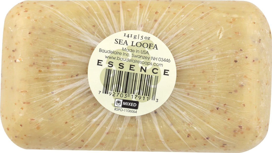 Baudelaire Es Hand Soap Sea Loofah 4.40 Ounces