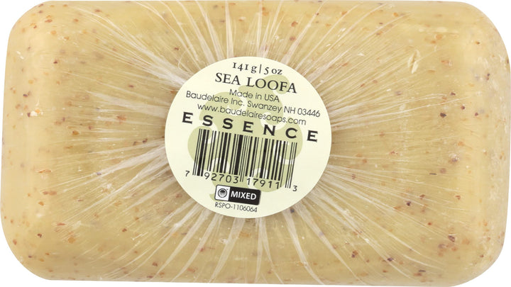 Baudelaire Es Hand Soap Sea Loofah 4.40 Ounces
