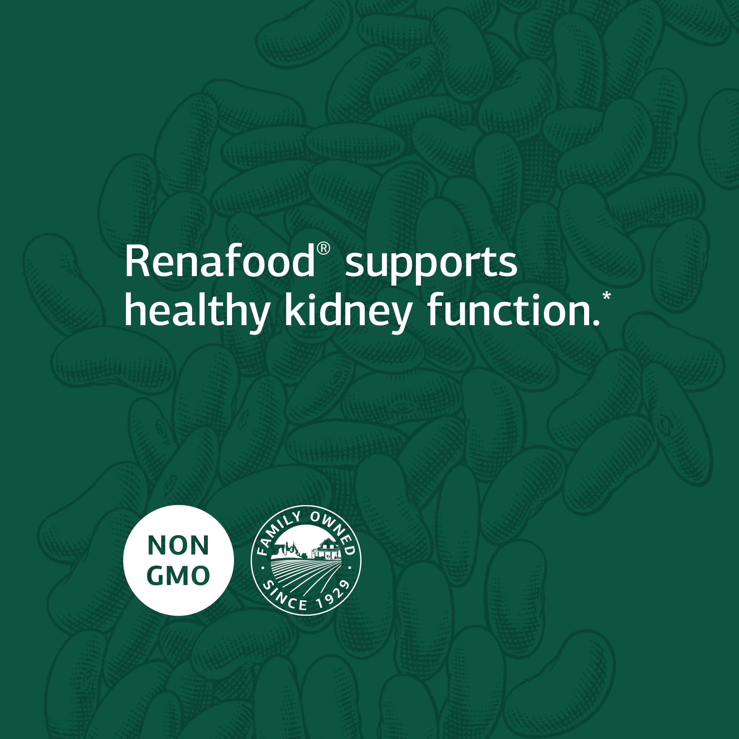 Standard Process Inc. Renafood - Whole-Food Based Kidney Health Support - Supplement with Kidney Bean, Renal Vitamins, Spanish Moss, Lactose, Organic Sweet Potato, Beet Root - 180 Tablets