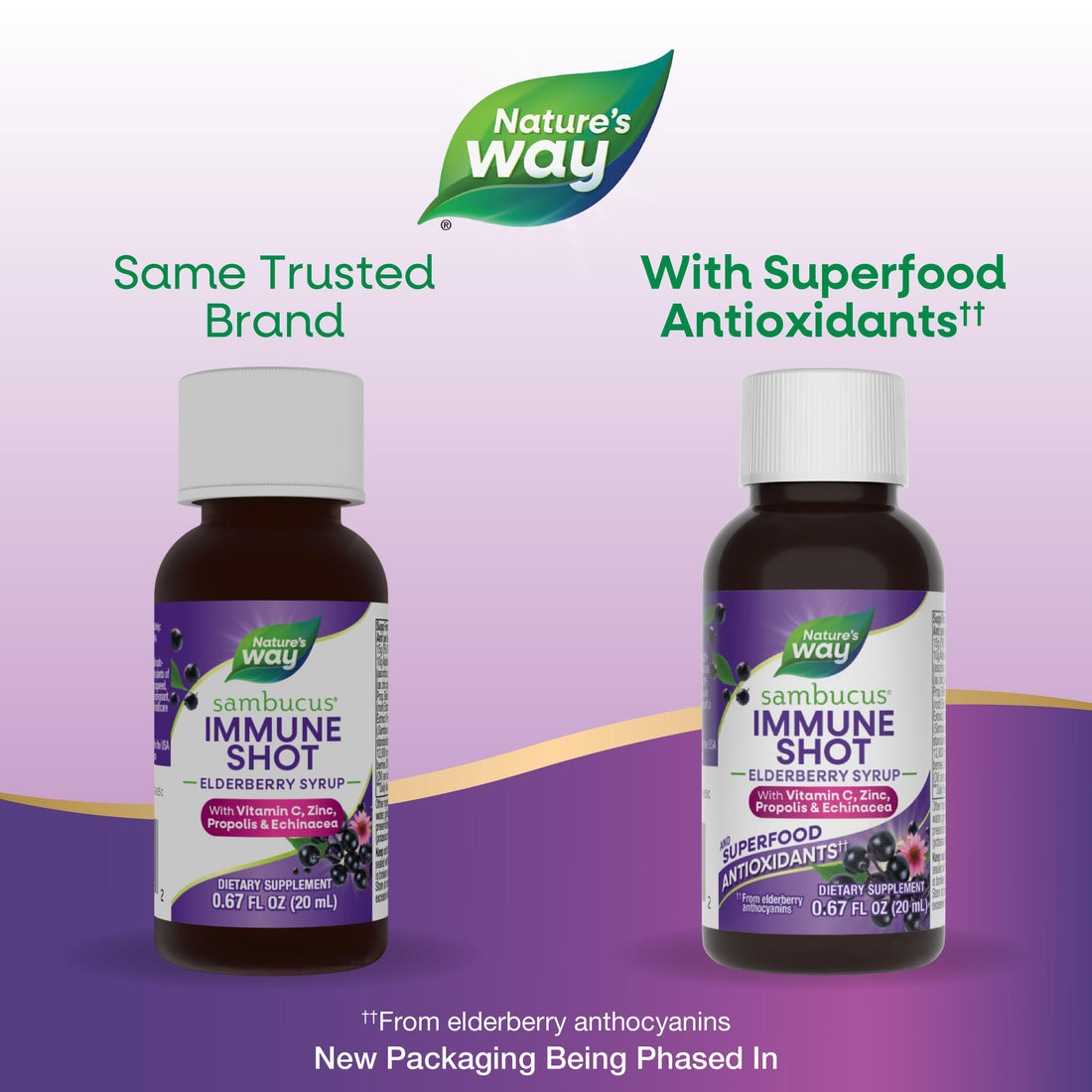 Nature's Way Sambucus Immune Syrup Single Shot, Daily Immune Support*, with Superfood Antioxidants(1), Elderberry, Vitamin C, Zinc, 0.67 Fl Oz x 12