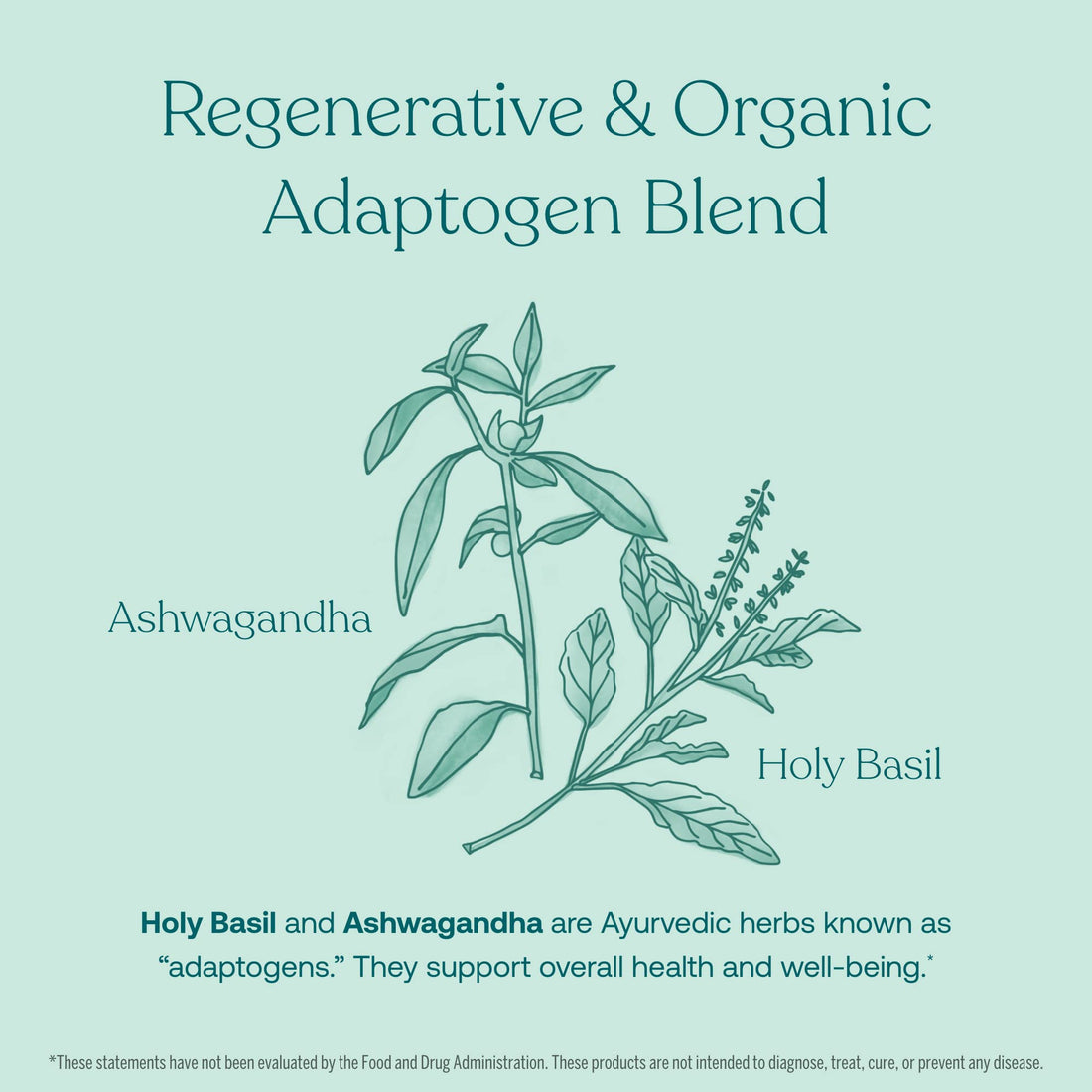True Grace One Daily Men’s Multivitamin Fermented Minerals, Organic Adaptogens & Mushrooms Whole Body Balance Immune, Endurance, Bone & Heart Support - Non-GMO, Gluten Free - 90 Vegan Tablets
