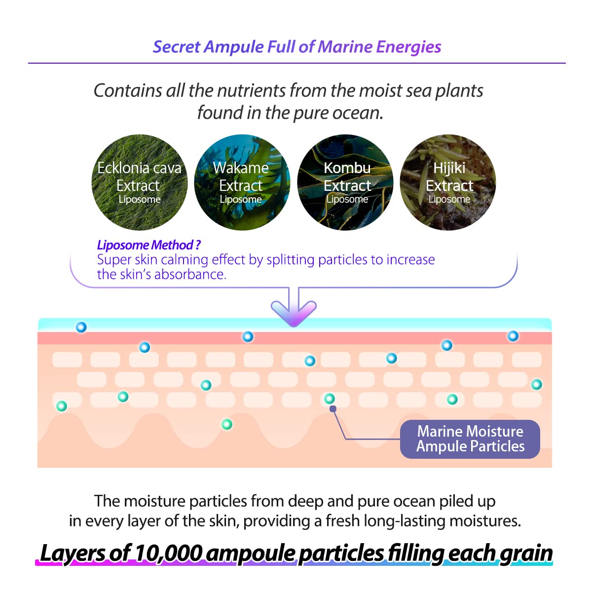 DEWYCEL AMPULE SERUM with Niacinamide, Ceramide NP, and Hyaluronic Acid | Highly Absorptive Hydrating Serum with Micro-Molecules | Korean Premium Skincare | 3.4 fl oz / 100 ml