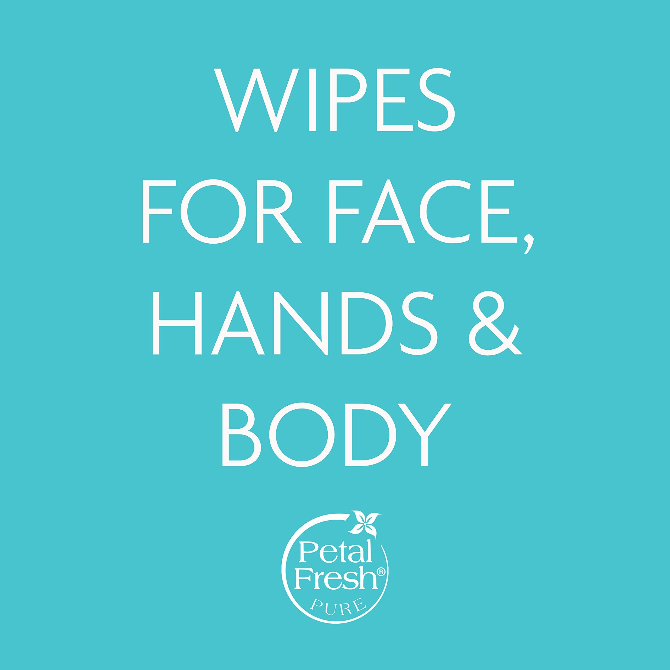 Petal Fresh White Radiance Brightening Moisturizing Facial Cleansing Wipes, Aloe Vera, 15.9 Ounce