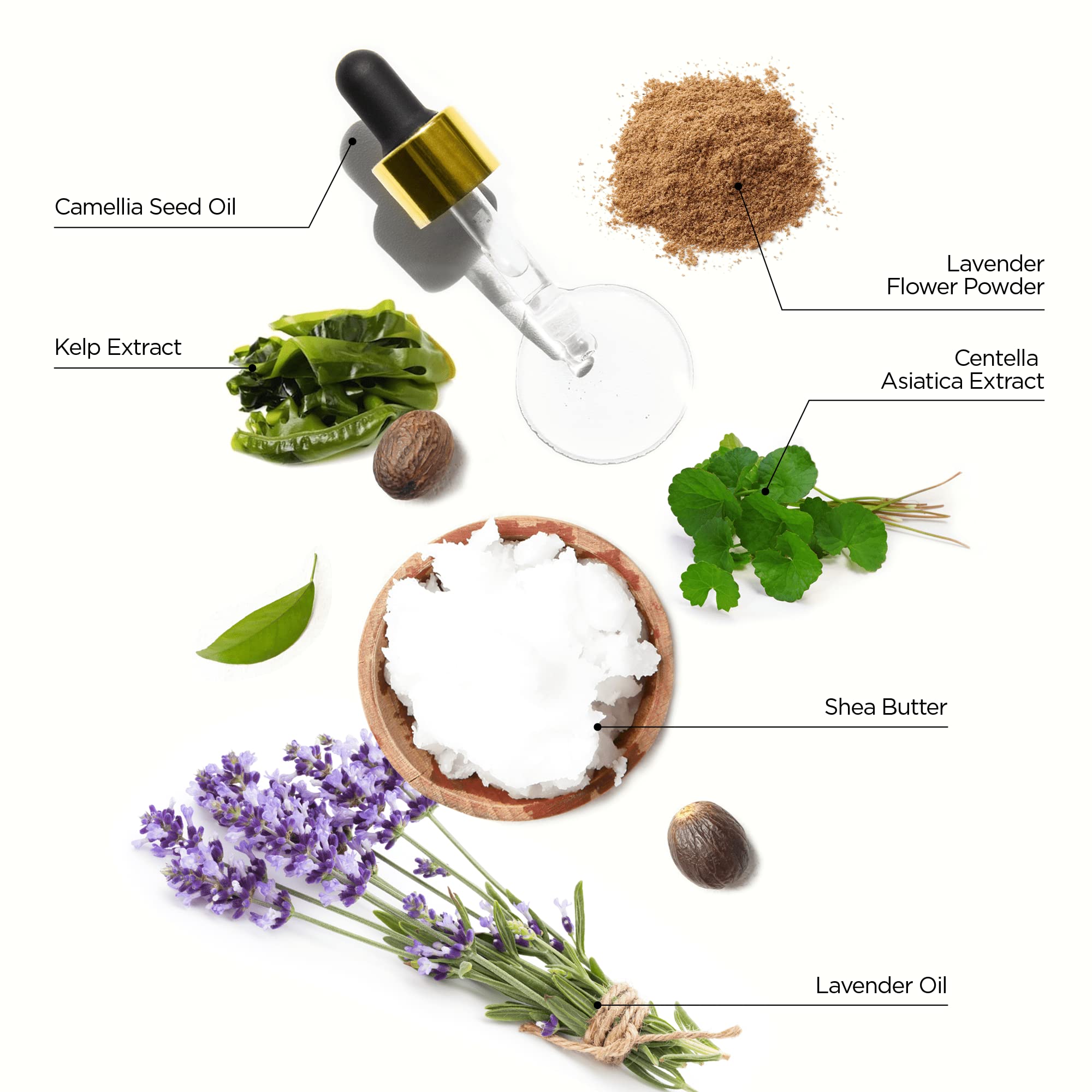 WONDERBAR101 Dry Hair and Itching Scalp Dandruff Shampoo Bar – plant-based, pH balanced, Eco-friendly, Plastic Free Packaging (Lavender)