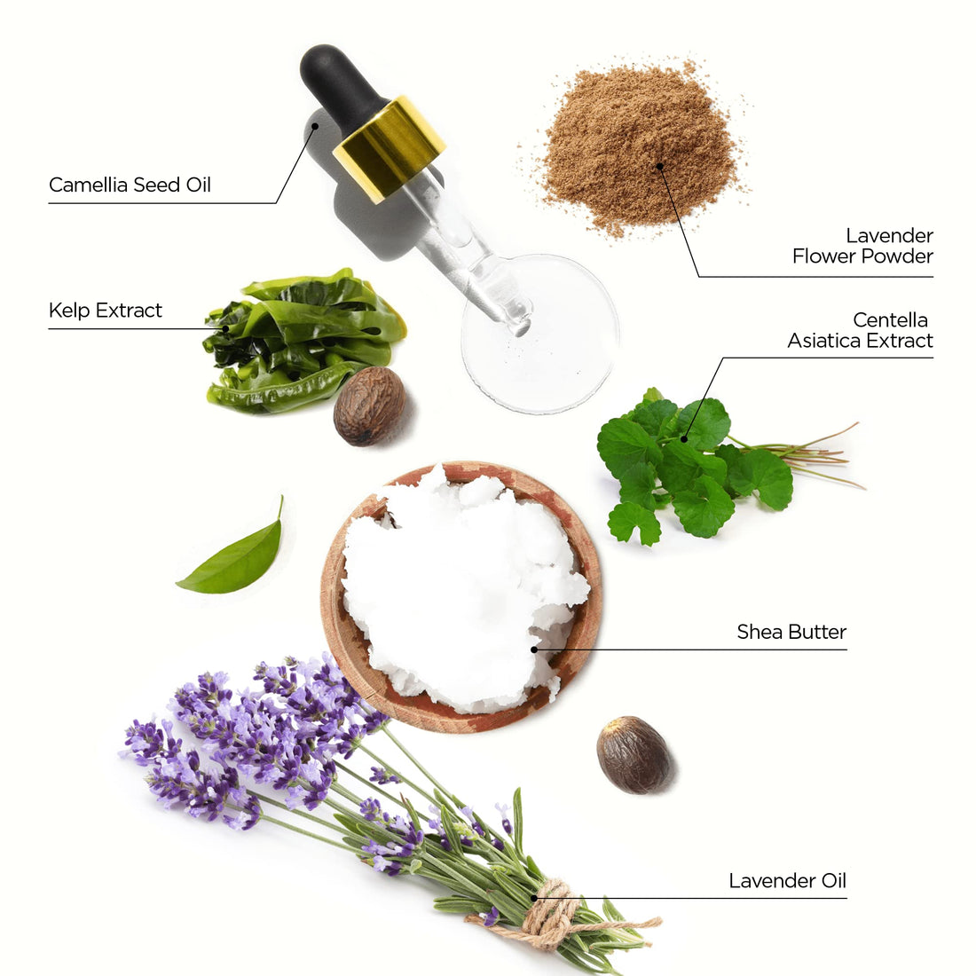 WONDERBAR101 Dry Hair and Itching Scalp Dandruff Shampoo Bar – plant-based, pH balanced, Eco-friendly, Plastic Free Packaging (Lavender)