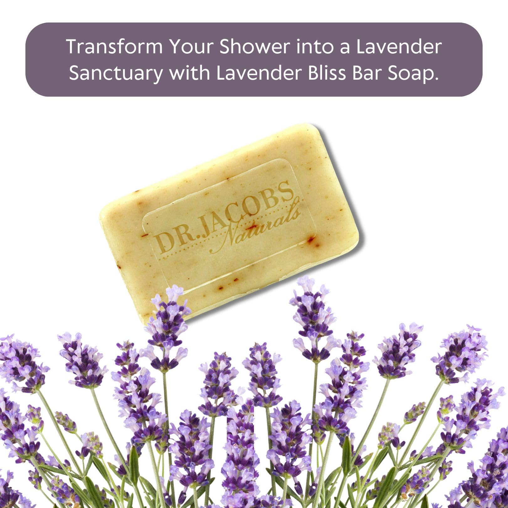 Dr Jacobs Naturals, Triple Milled Loofah Exfoliating Castile Bar Soap (Pack of 6) - Free of Parabens, Sulfates, Synthetics, Gltuen and GMO (Luscious Lavender)