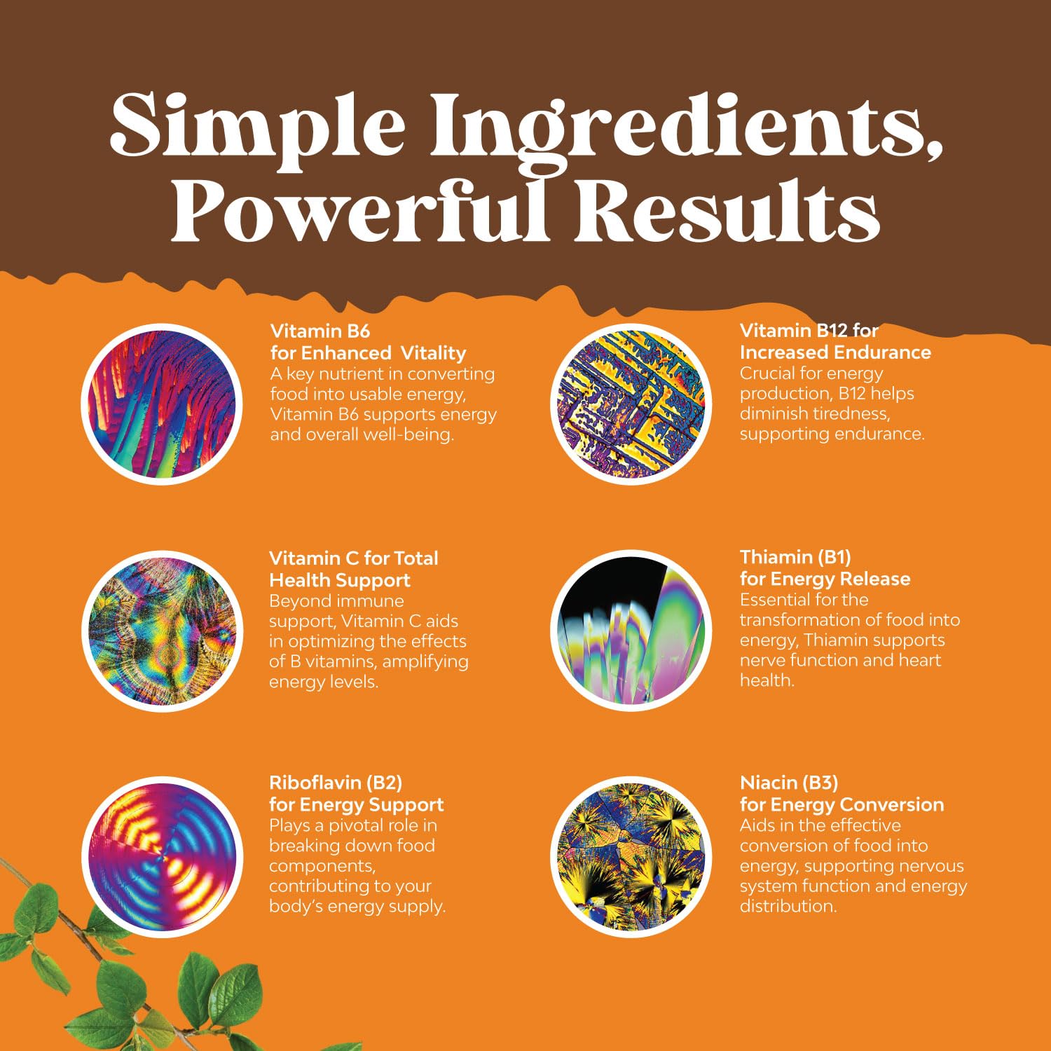 Vegan Vitamin B Complex Liquid - 9-in-1 Liquid B Complex Vitamins for Women & Men with B1 B2 B3 B5 B6 B7 Folate Methyl B12 Plus Vitamin C - Super Concentrated Non GMO & Naturally Flavored (120svg)