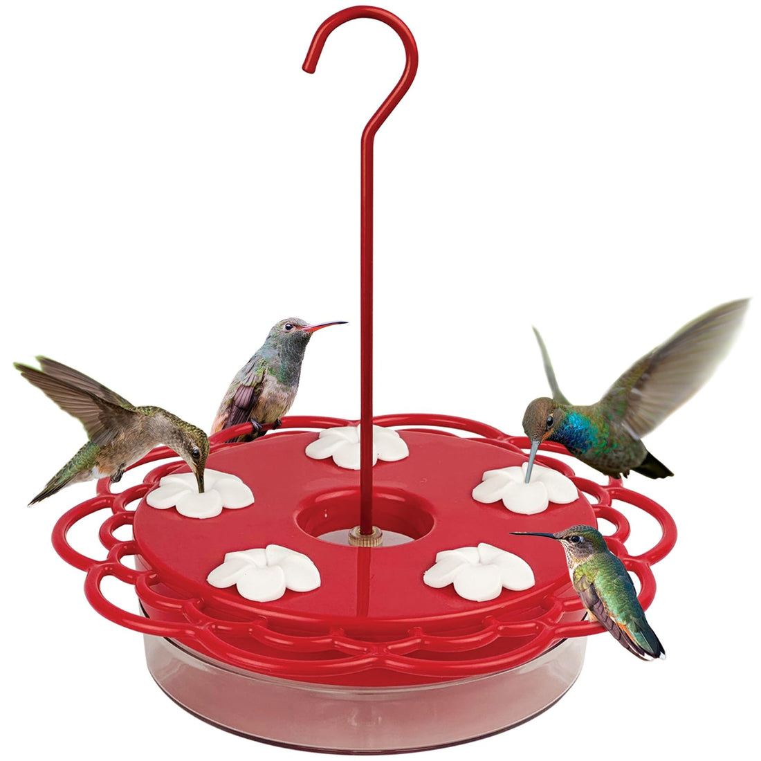 Nature's Way Plastic Hummingbird Feeder for Outdoor Decor, Hanging Feeder and Window Feeder, 13 Ounce Capacity Nectar Feeder, 5 Easy to Clean Flexible Ports, Red