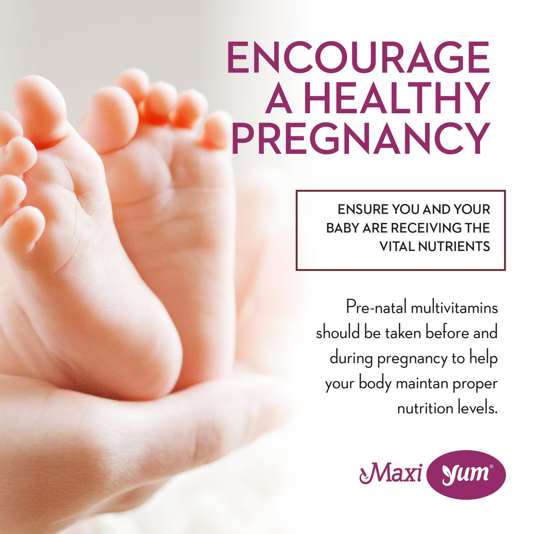 Organic Prenatal Gummies for Women - The Sweet Way to Nurture Your Tomorrow - Kosher Cherry Flavored Pre Natal Gummy - Prenatal Vitamins for Women with Folic Acid and Iron for Fetal Development, 60