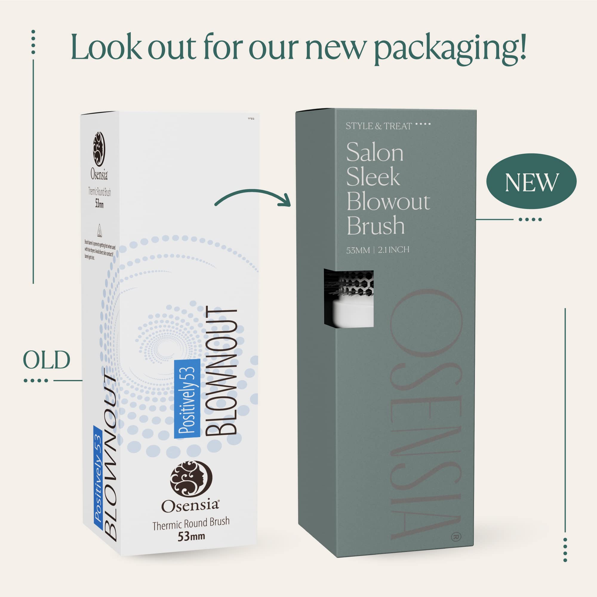 Professional Round Brush for Blow Drying - Large Ceramic Ion Thermal Barrel Brush for Sleek, Precise Heat Styling and Maximum Volume - Lightweight, Antistatic Bristle Hair Brush by Osensia (2 Inch)