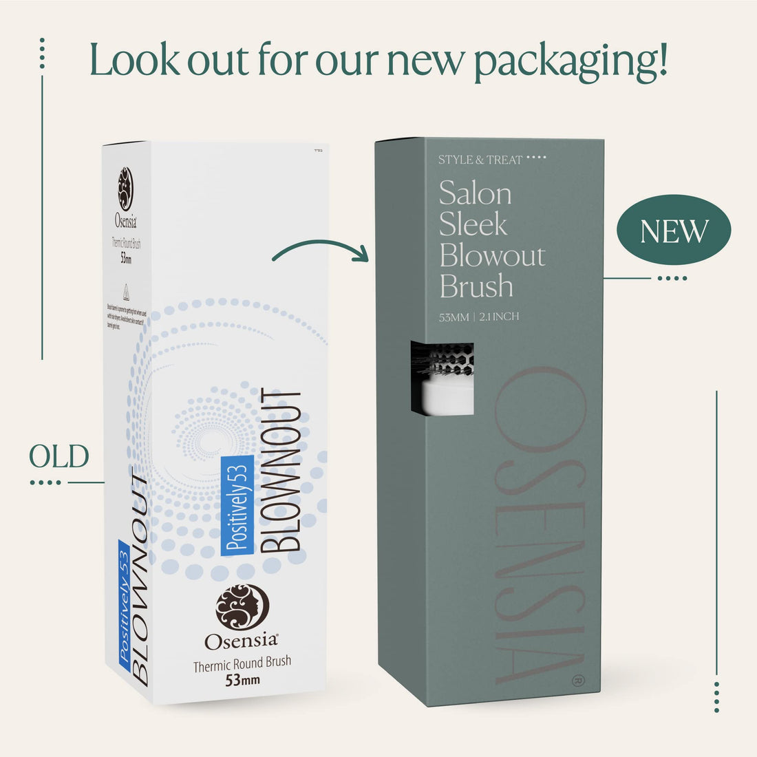 Professional Round Brush for Blow Drying - Large Ceramic Ion Thermal Barrel Brush for Sleek, Precise Heat Styling and Maximum Volume - Lightweight, Antistatic Bristle Hair Brush by Osensia (2 Inch)