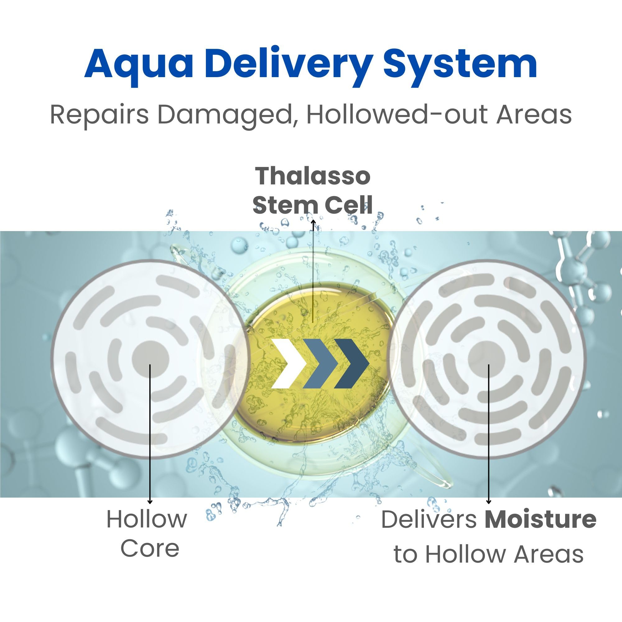 8 THE THALASSO Hair Conditioner for Dry & Damaged Hair, Scalp Women & Men, Moisturizing Treatment with Organic Stem Cell & Deep Sea Water, Hair Care from Japan, Silicone & Sulfate Free 16.1 Fl Oz