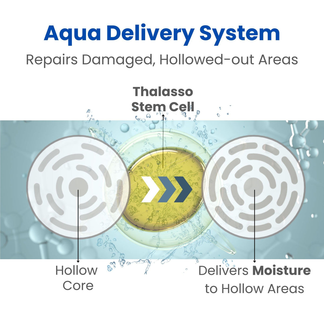 8 THE THALASSO Hair Conditioner for Dry & Damaged Hair, Scalp Women & Men, Moisturizing Treatment with Organic Stem Cell & Deep Sea Water, Hair Care from Japan, Silicone & Sulfate Free 16.1 Fl Oz