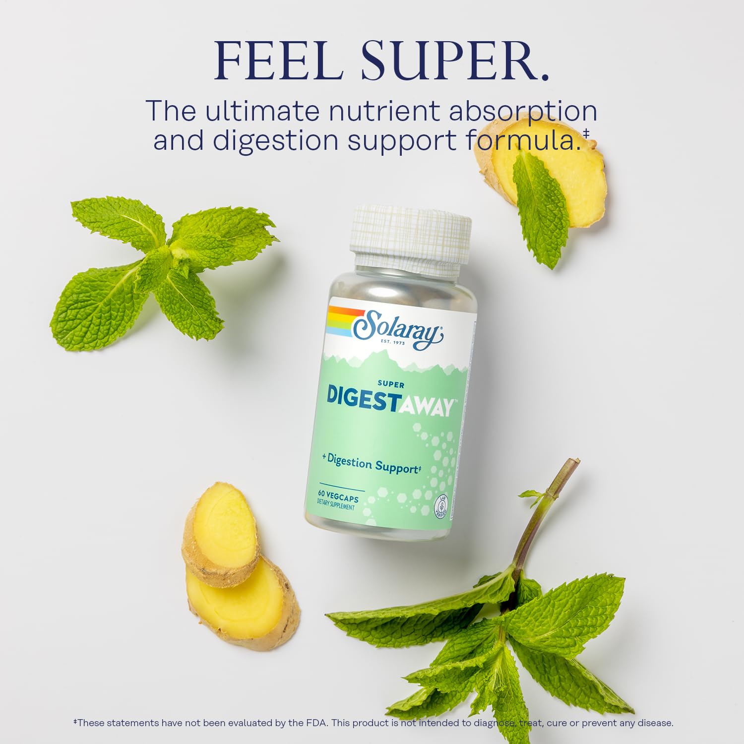 SOLARAY Super Digestaway Digestive Enzymes - Pancreatin, Papain, Ginger, Pepsin, Betaine HCl, Aloe Vera, and More - Digestion & Nutrient Absorption Support - Lab Verified - 60 VegCaps