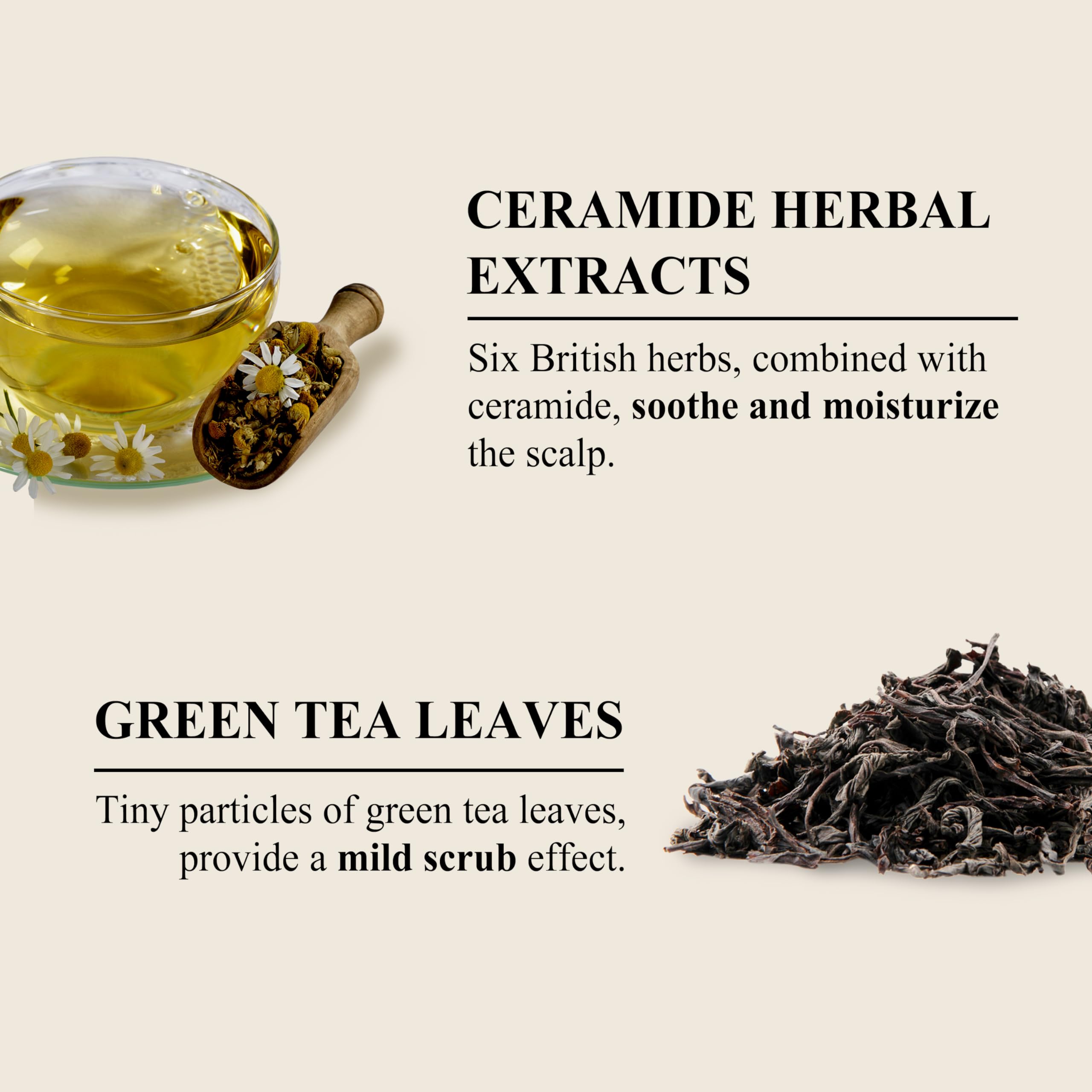 Perfumed Body Wash, Sage Amber Purple Tea (17.63oz/500ml) - Hydrating Body Cleanser for Sensitive Skin - Korean Skin Care with Herbs - Gentle, Moisturizing, Non-Sticky, Floral Woody Scent