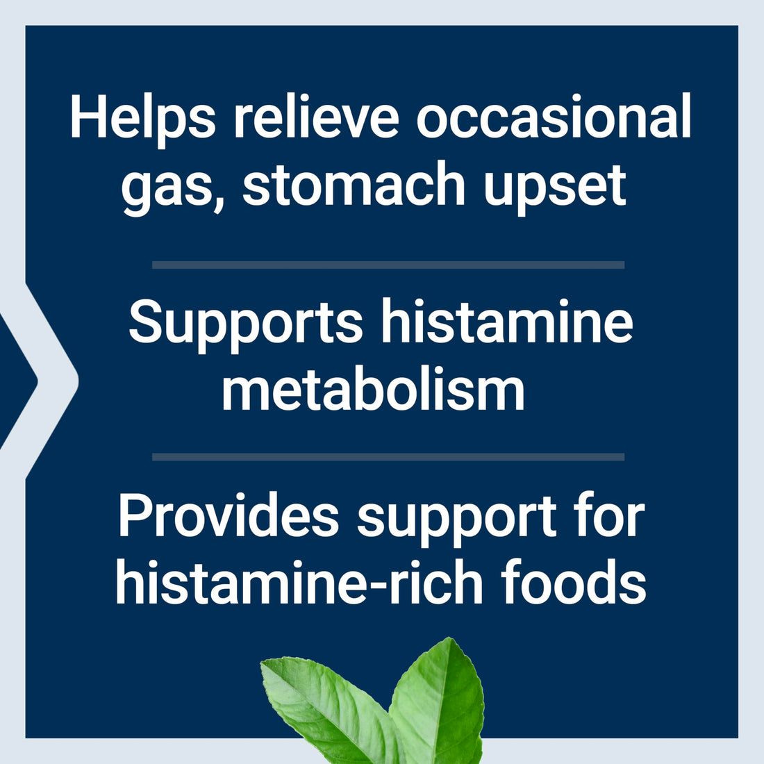 Life Extension Food Sensitivity Relief with Diamine Oxidase (DAO), Occasional Gas, Digestive Comfort, histamine Sensitivity, DAO Enzyme Supplement, Gluten Free, Non-GMO, Vegetarian, 60 Capsules
