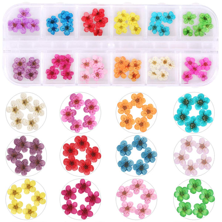 2 Boxes Dried Flowers for Nail Art, KISSBUTY 24 Colors Dry Flowers Mini Real Natural Flowers Nail Art Supplies 3D Applique Nail Decoration Sticker for Tips Manicure Decor (Daffodil Hydrangea Daisy)