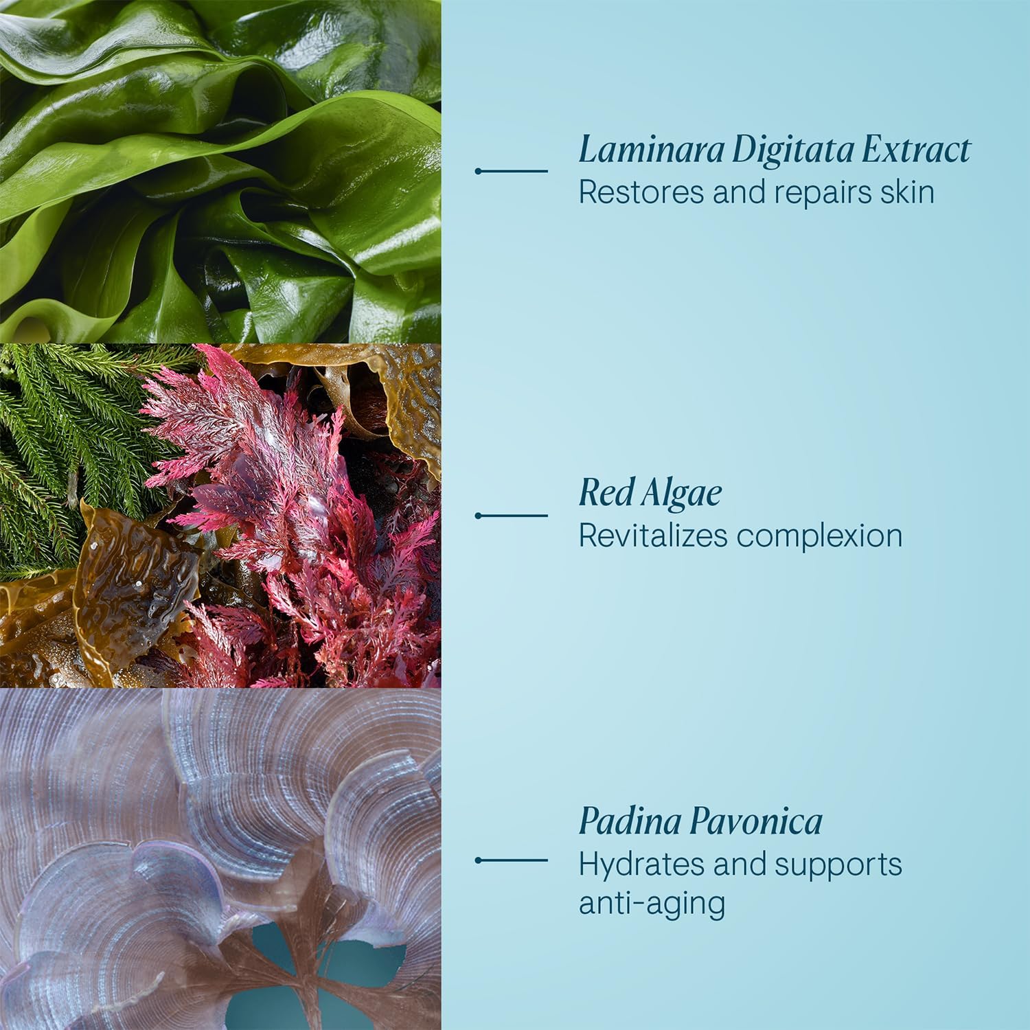 Pro-Collagen Oxygenating Night Cream 50ml/1.7oz