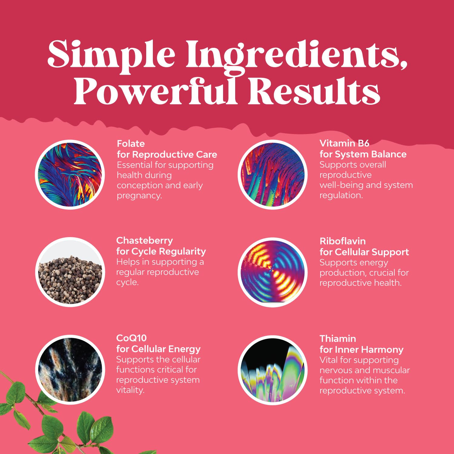 Fertility Supplement for Women with Prenatal Multivitamins - Female Fertility Support with Prenatal Choline Inositol Folate Chasteberry and CoQ10 Fertility Blend for Women to Promote Faster Conception