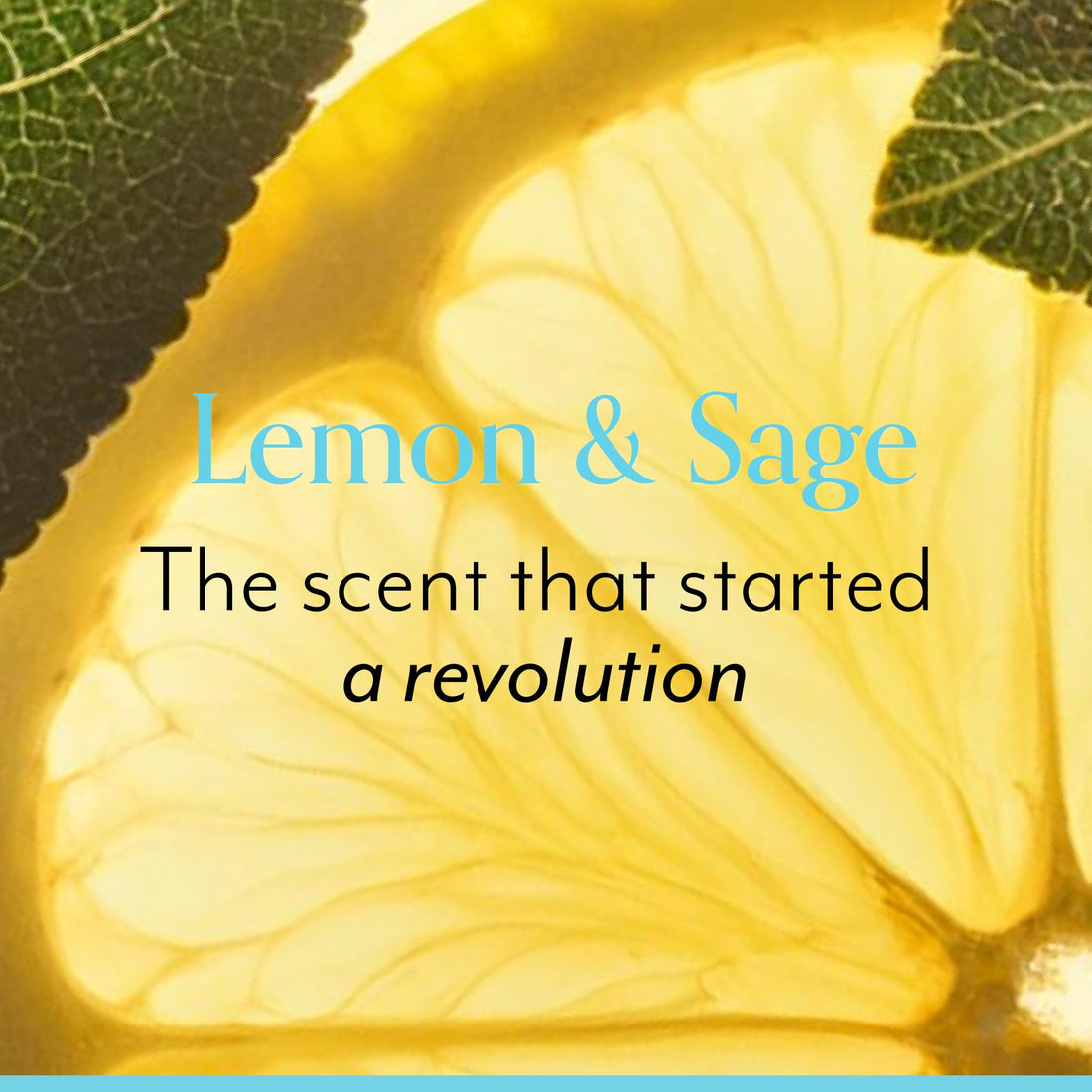 Bliss Lemon & Sage Trio: Soapy Suds Body Wash, Exfoliating Body Scrub & Lemon & Sage Body Butter – Hydrating & Nourishing for Soft, Radiant Skin