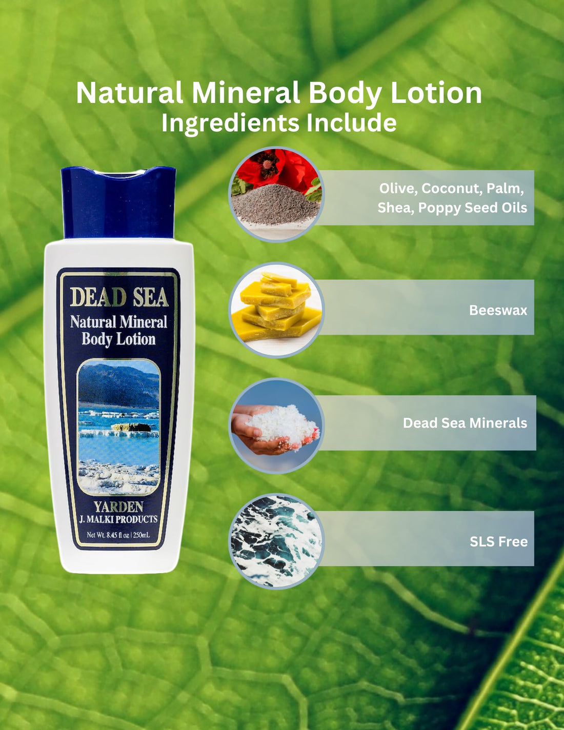 Malki Dead Sea Products Natural Mineral Body Lotion | Hydrating and Moisturizing Lotion | Smooths and Nourishes Dry Skin