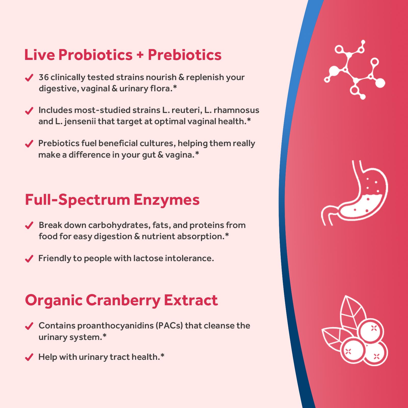 Doctor's Recipes Probiotics for Women, 200B CFUs 36 Strains, with Prebiotics, Enzymes & Cranberry, Vaginal Urinary Digestive & Immune, Shelf Stable, 30 Caps