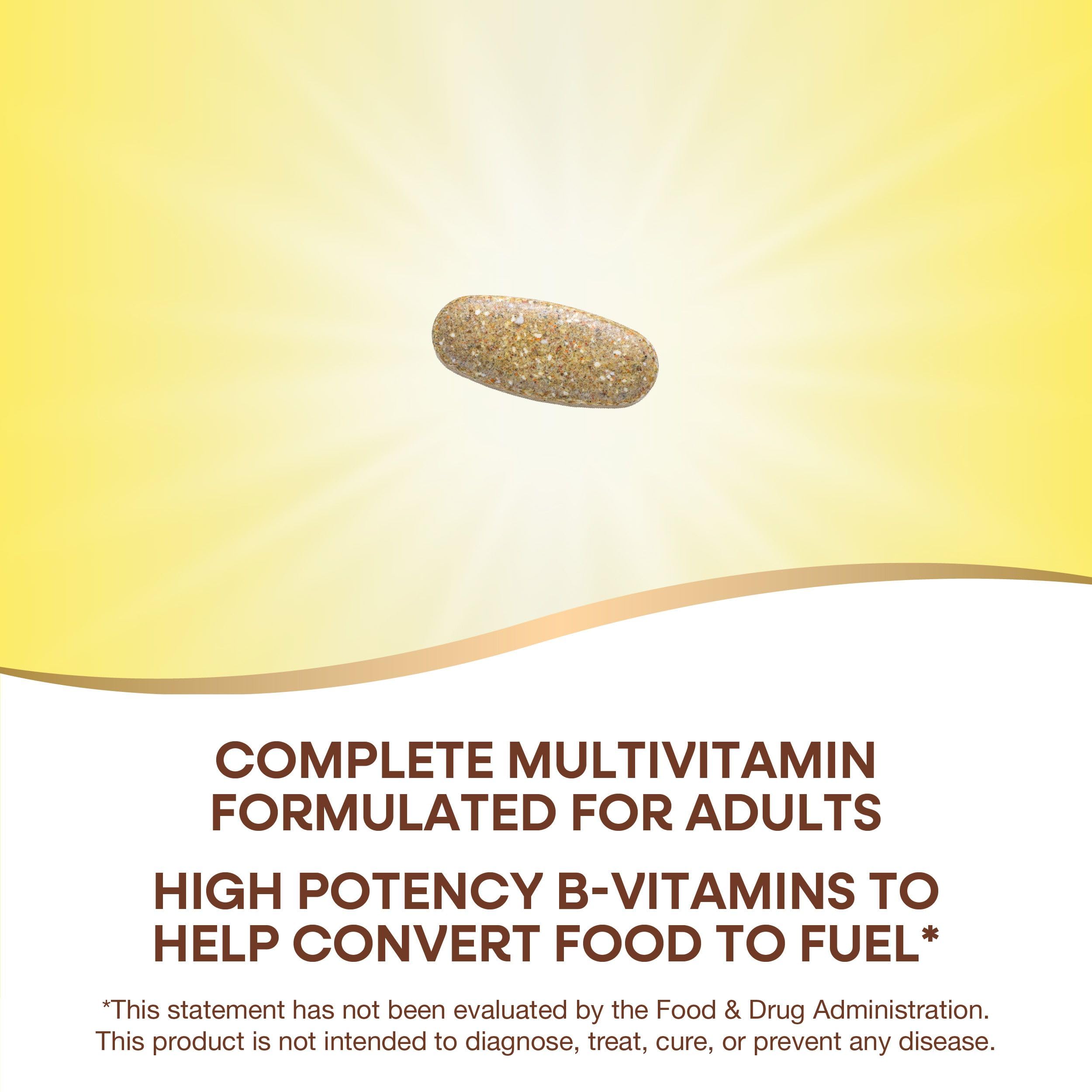 Nature’s Way Alive! Daily Energy Multivitamin 22 Vitamins and Minerals 60 Tablets