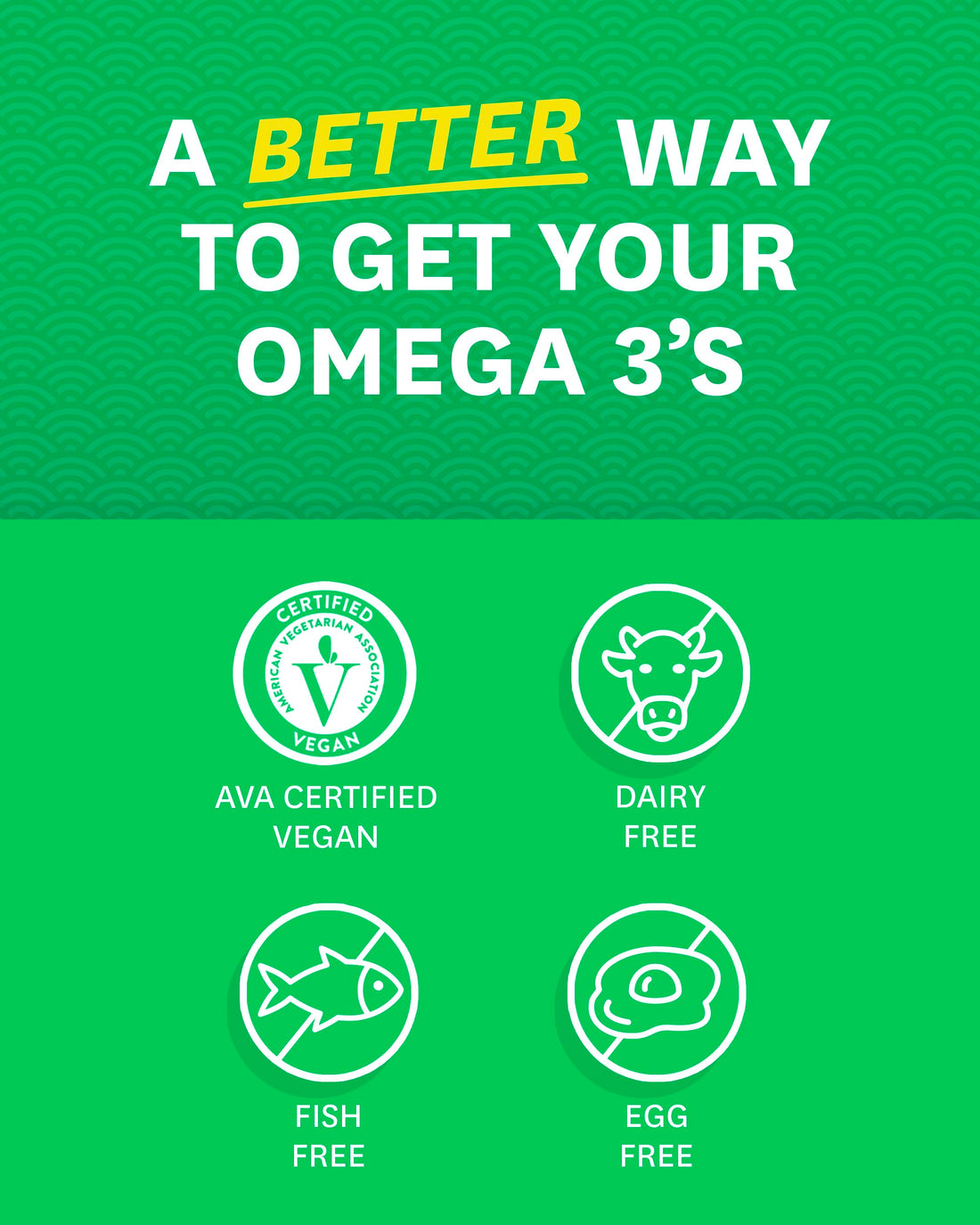 Zenwise Health Vegan Omega 3 Supplement for Women and Men from Marine Algae Oil with DHA & EPA - Plant Powered Fish Oil Alternative, Sustainably Sourced for Heart, Eye & Joint Health -120 CT