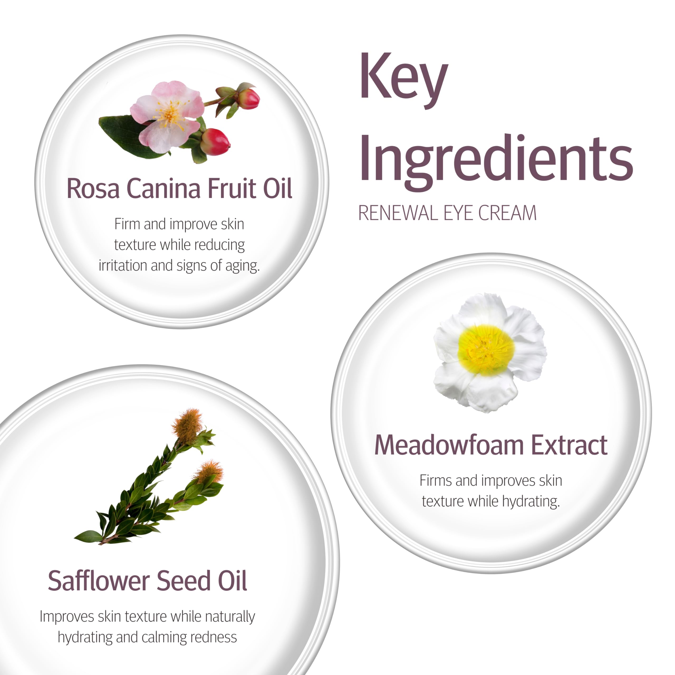 Epionce Renewal Eye Cream, 0.53 Fluid Ounce