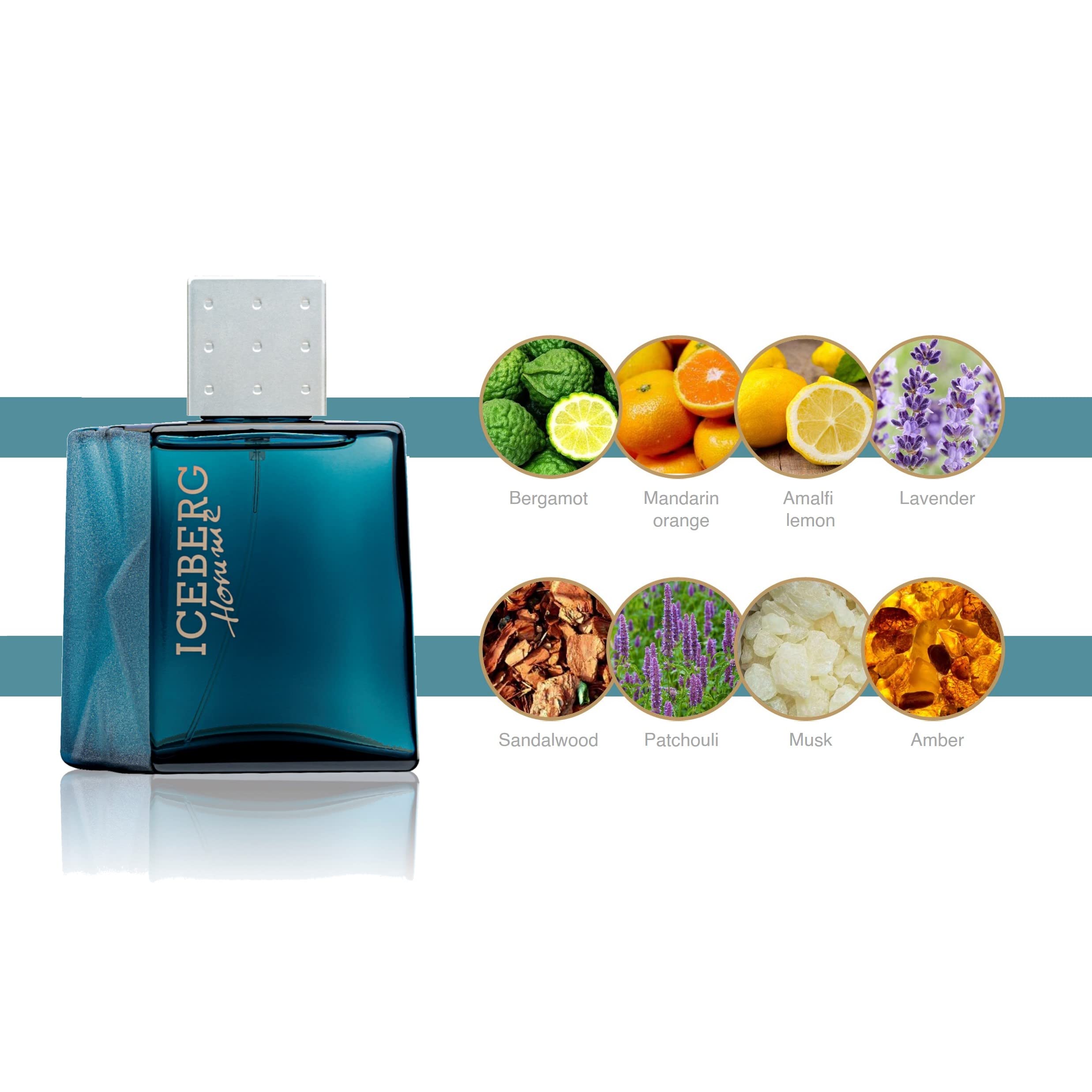 Iceberg Classic for Men EDT, 100ml