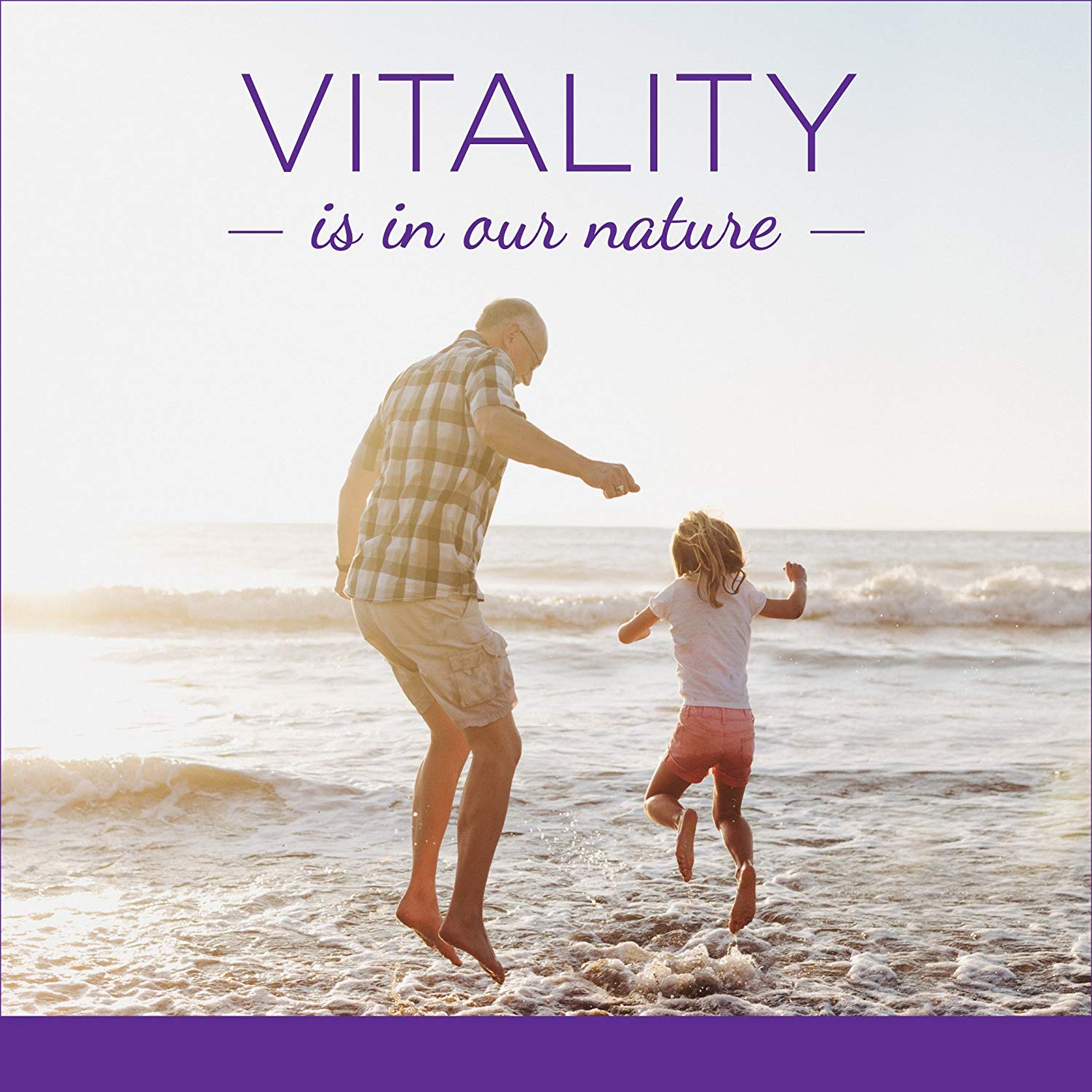 New Chapter Multivitamin for Men 50 Plus - Every Man's One Daily 55+ with Fermented Probiotics + Whole Foods + Astaxanthin + Organic Non-GMO Ingredients - 90 ct