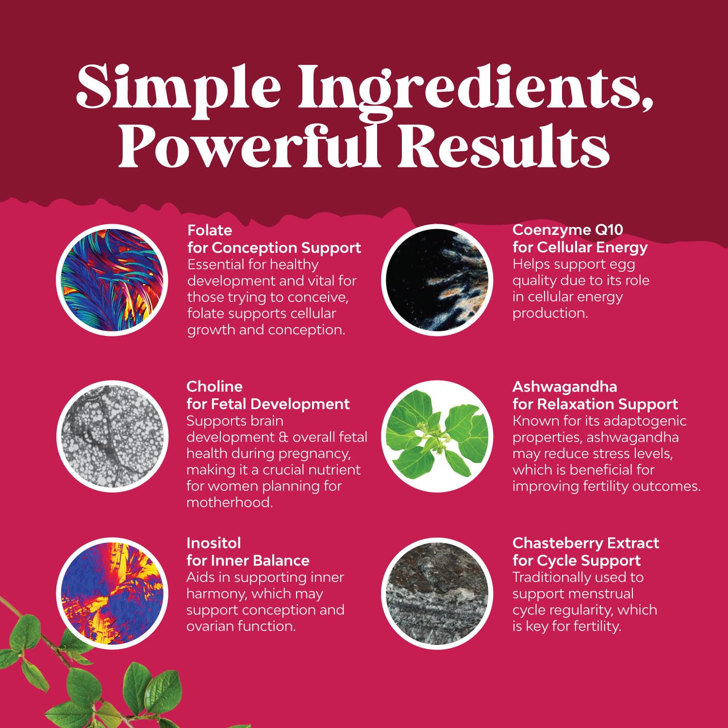 Fertility Gummies for Women Trying to Conceive - Yummy Gummy Fertility Supplement for Women with Myo-Inositol Folic Acid & Vitex Chasteberry - Vegan Non-GMO & Gluten Free - Juicy Peach (30 Servings)