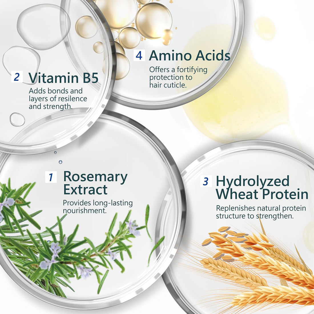 SH-RD Nutra-Therapy Shampoo for Dry, Damaged, Color-Treated, Frizzy & Bleached Hair | Repair Treatment with Proteins for Split Ends & Moisture | Sulfate-Free - 8.45oz/250ml