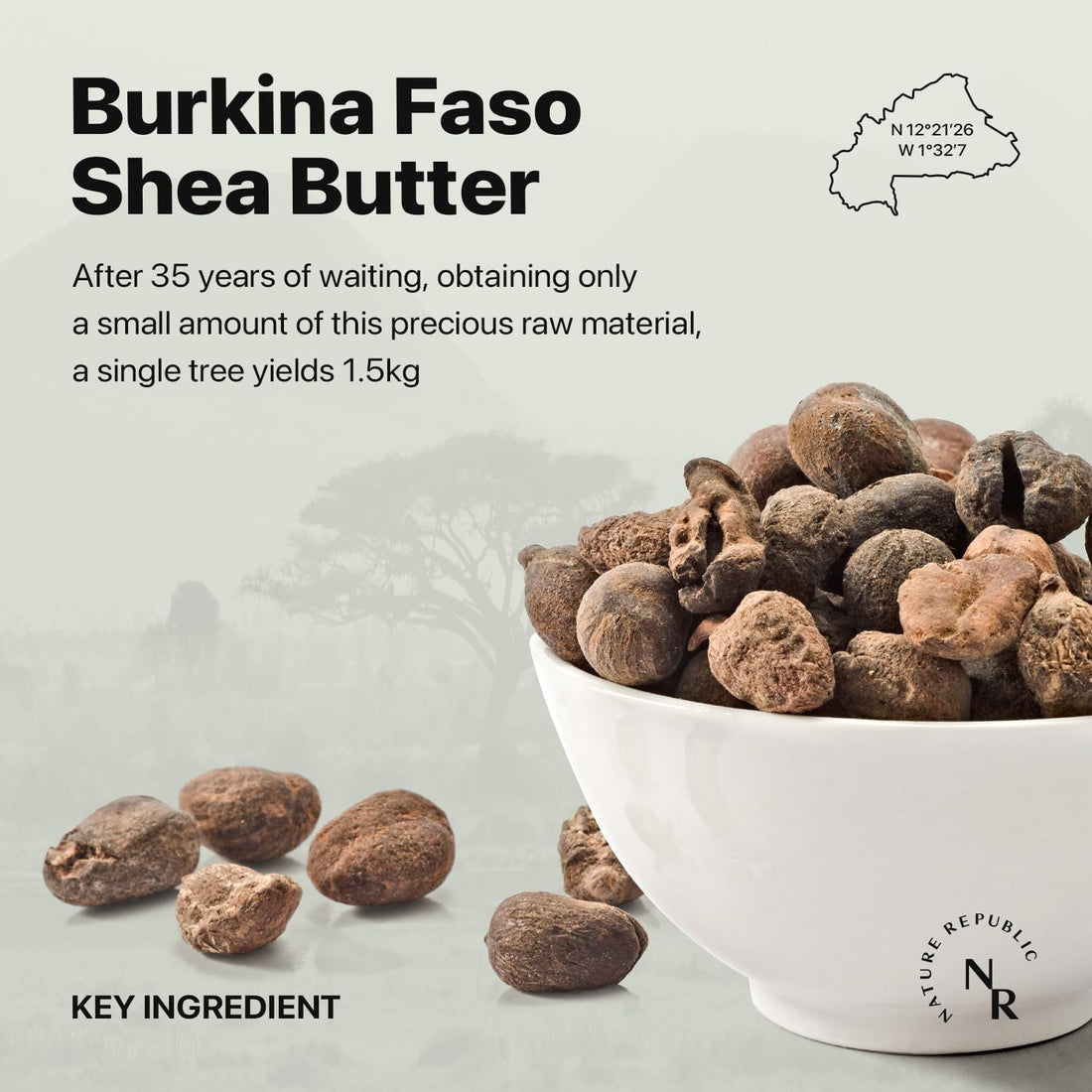 Nature Republic Shea Butter Steam Cream Moist, 100ml